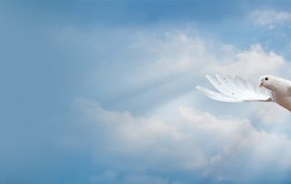 Wertschätze die Salbung Gottes mehr als alles andere