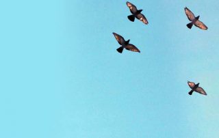 Ratschläge zur Überwindung der Sünde
