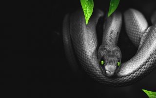 Satan ist ein besiegter Feind