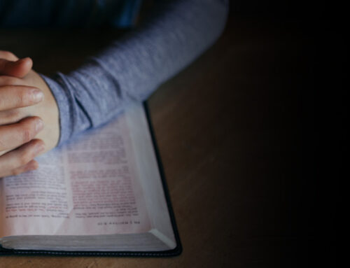 Die Weisheit der allerersten Sprüche