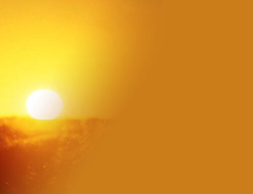 Sei die Person, die Gott sucht, um Seine Gemeinde zu bauen