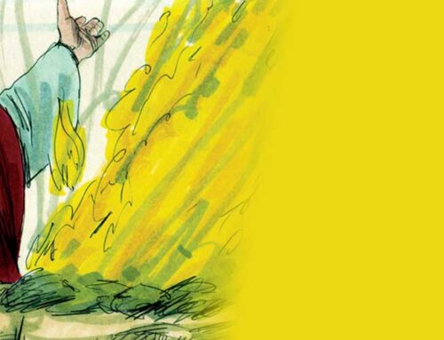 Werke ohne Glauben und Glaube ohne Werke