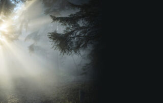 Bereit sein für das Kommen des Herrn