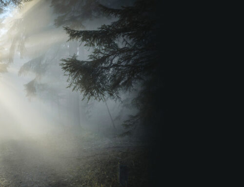 Bereit sein für das Kommen des Herrn